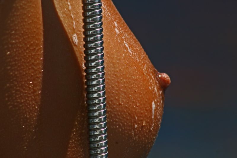 tissit